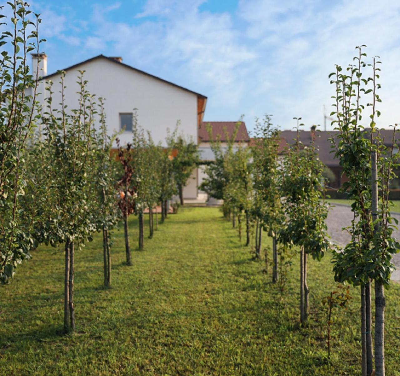 Agriturismo Corte Foscara Malcontenta Eksteriør billede